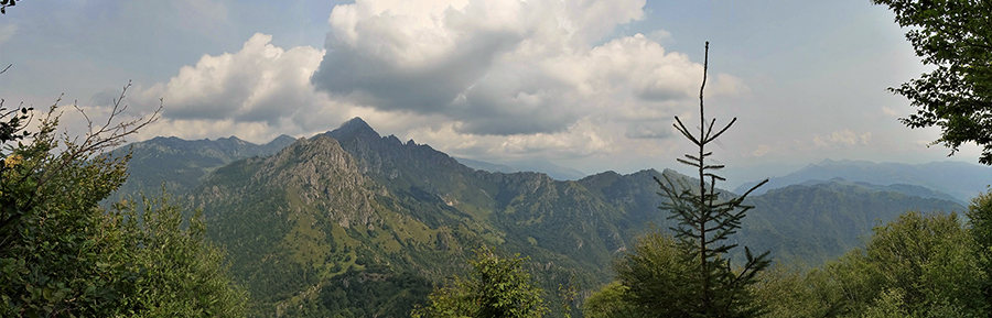 Dalla cima del Suchello ampia vista sull'Alben